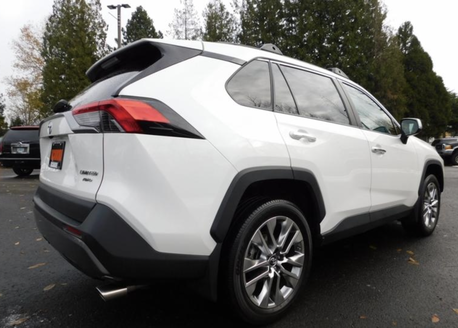 2019 Toyota RAV4 Bickmore Auto Sales