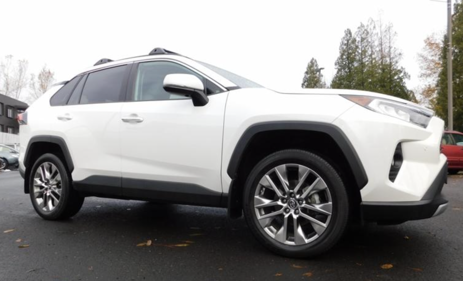 2019 Toyota RAV4 Limited Sport Utility 4D Bickmore Auto Sales