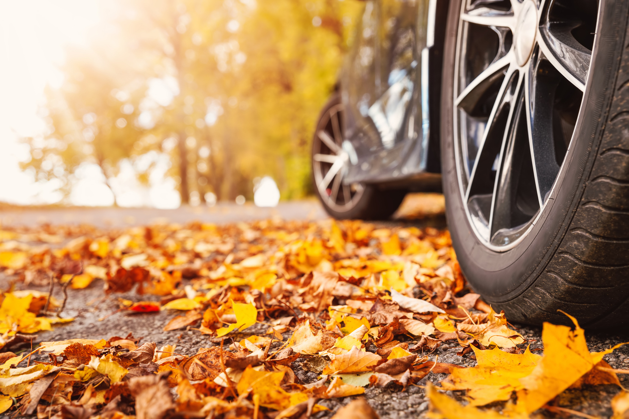 Why Fall is the Best Season to Buy a Car